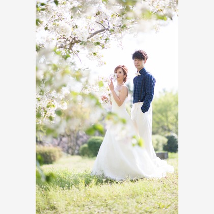 improveが撮影した「:albumName」の写真