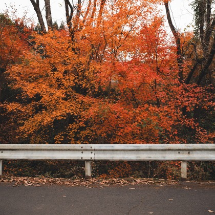大坪幹武が撮影したウェディングや家族、ビジネスの写真