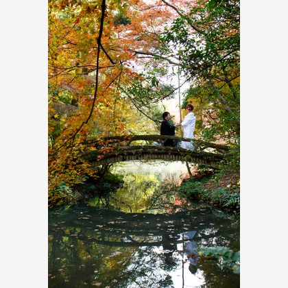 Photo of :albumName taken by Smilehunter