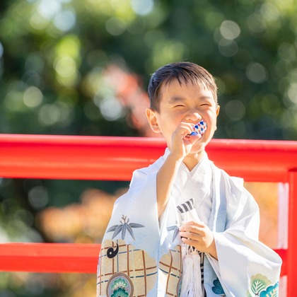 クリエイティブツリーが撮影した「:albumName」の写真