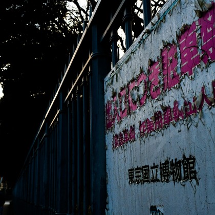 KotobukiPhotosが撮影した「:albumName」の写真