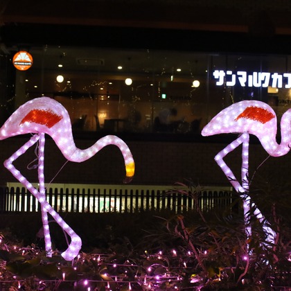 ＮＫ フォトエージェンシーが撮影したその他の写真