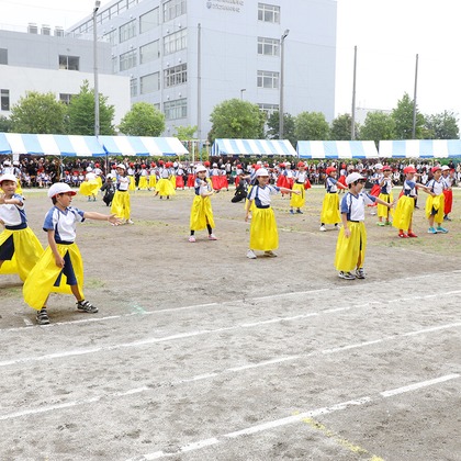 株式会社クリエイティブストゥディオワークス宮田絵里子が撮影した「:albumName」の写真