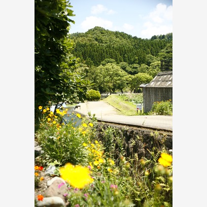 blink photoが撮影したウェディングや家族、ビジネスの写真