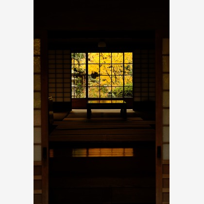 KotobukiPhotosが撮影した「:albumName」の写真