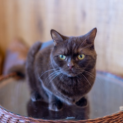 沖山俊樹が撮影した「:albumName」の写真