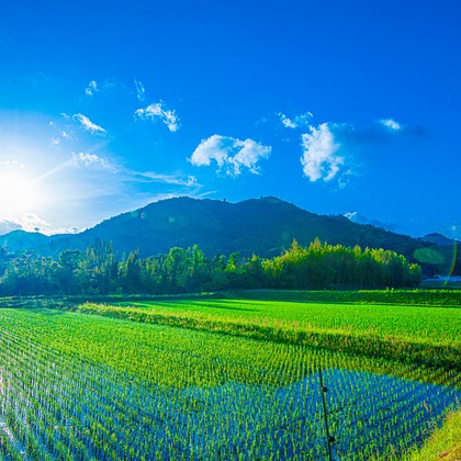 早川 陸が撮影したその他の写真