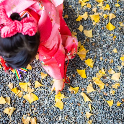 大森美紗生が撮影した家族写真の出張撮影/七五三フォトの写真