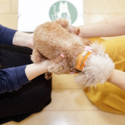 内田　雄一が撮影した「:albumName」の写真