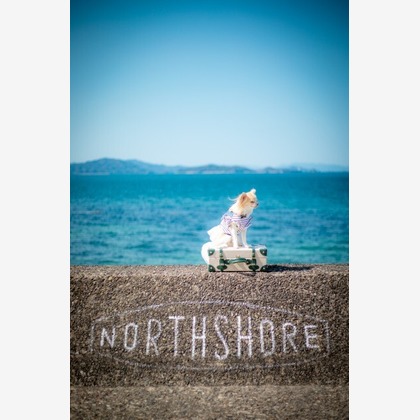 あかすたが撮影した「:albumName」の写真