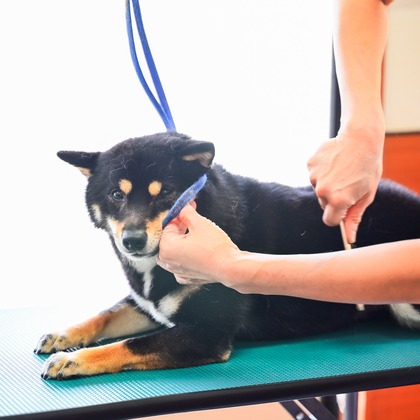 出張撮影 中村まみこが撮影した店舗/オフィス/サロン撮影の写真