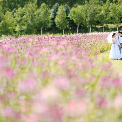 Location Photo Shoot Photos taken by APK