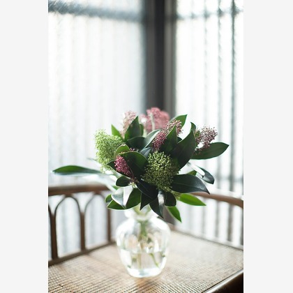 白井由香里写真事務所が撮影した「:albumName」の写真