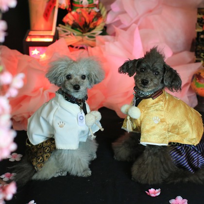 高橋 透（Coo&Sea STUDIO代表）が出張撮影した「お正月撮影会2020@新横浜Coo&Sea STUDIO」の家族写真