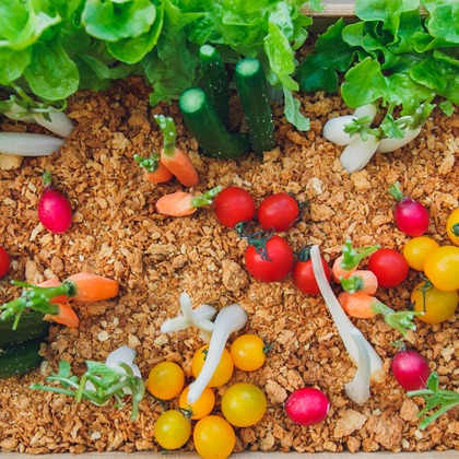 t_picturesが撮影したウェディングや家族、ビジネスの写真