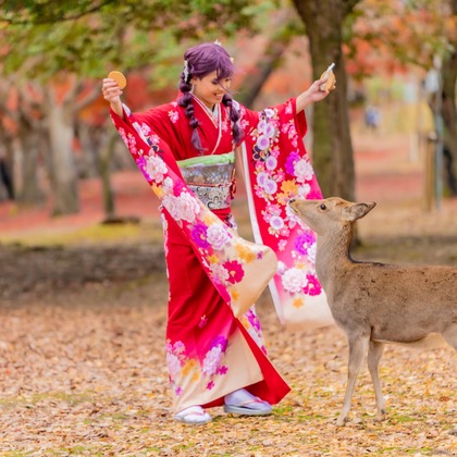 植村　誠が撮影した「:albumName」の写真