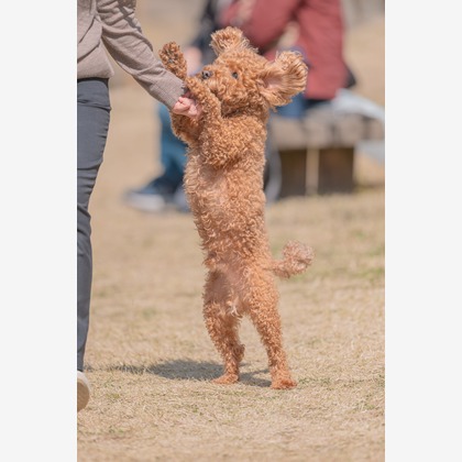 あなたの写真館が撮影した「:albumName」の写真