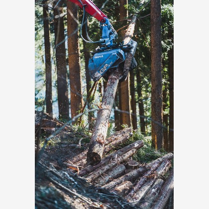 studio9thが撮影した「:albumName」の写真