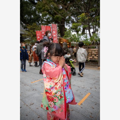 岩坪眞一郎が出張撮影した植物, 雲, 空が写った七五三フォトの写真