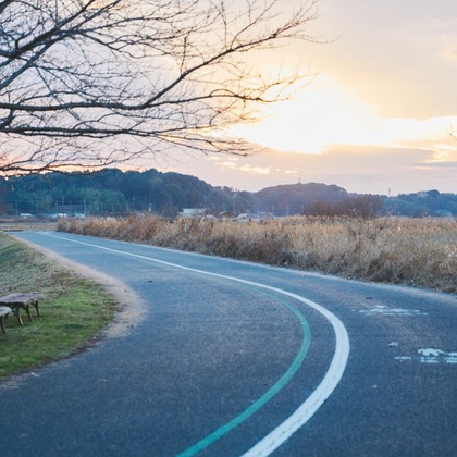 Shun Kanazawaが撮影した「:albumName」の写真