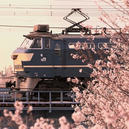 Photo of Sample photo taken by 須田敦史