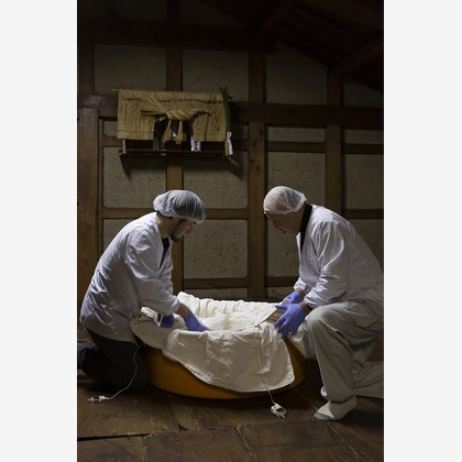 東谷　幸一が撮影した「:albumName」の写真