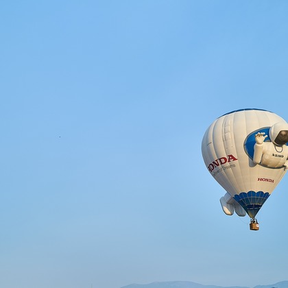 津田野 瑞希が撮影した「:albumName」の写真