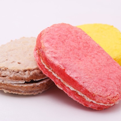 森安　照が撮影した「:albumName」の写真