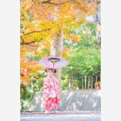 ベッティフォトが撮影した「:albumName」の写真