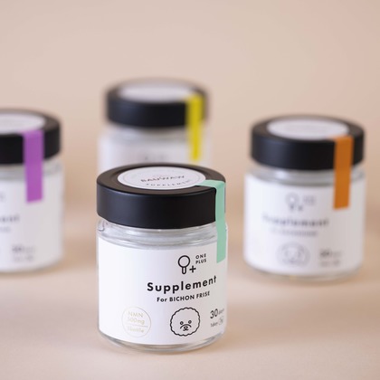 アオスタジオが撮影した「:albumName」の写真