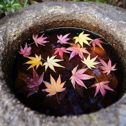 photographerTAKASUが撮影したその他の写真