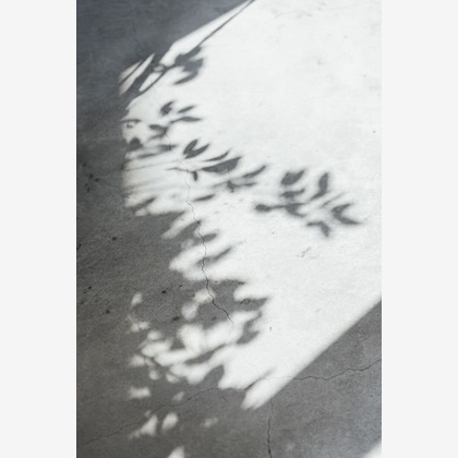 柴田和衣子が撮影したウェディングや家族、ビジネスの写真