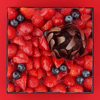 森安　照が撮影した「:albumName」の写真