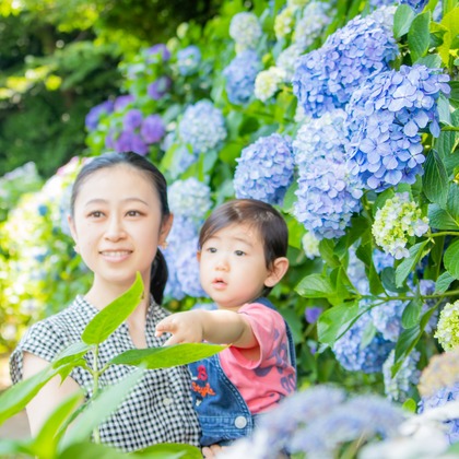 かわもとえつこが撮影した「:albumName」の写真