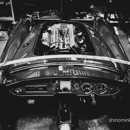 しのみんこフォトが撮影した商品/物撮りの写真