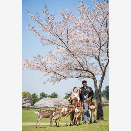 Wedding, Bridal Photos taken by studio zero