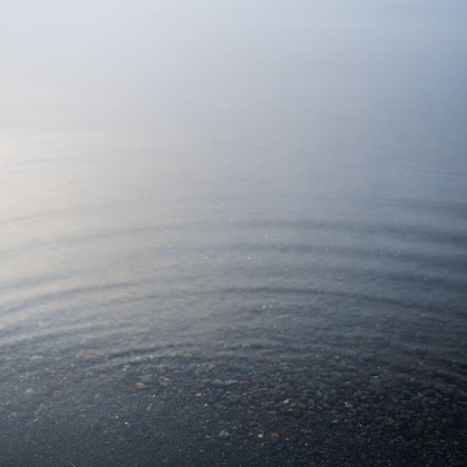 西澤 大和が撮影したウェディングや家族、ビジネスの写真