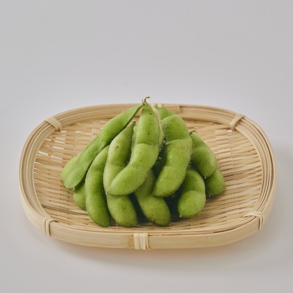 佐藤　陽亮が撮影した「:albumName」の写真