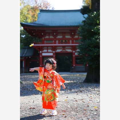 KOMOREBI Photo.　大如　耕平が撮影した七五三フォトの写真