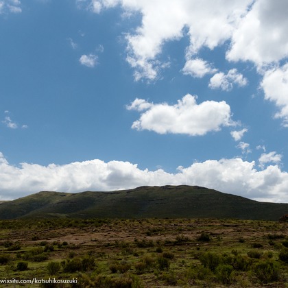 Katsuhiko Suzukiが撮影した「:albumName」の写真