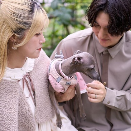 Actが撮影した「:albumName」の写真