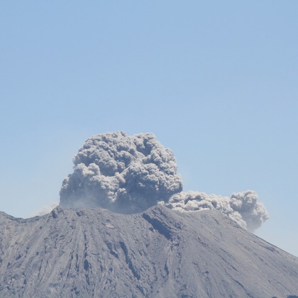 blink photoが撮影したウェディングや家族、ビジネスの写真