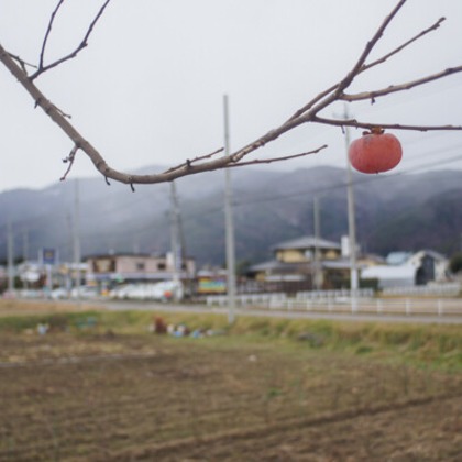 手塚隆弘が撮影したイベント/スナップ撮影の写真