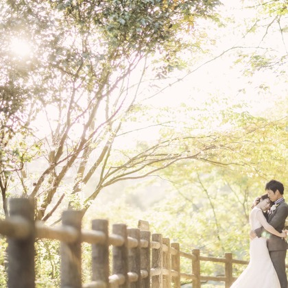 elle pupaが撮影した「:albumName」の写真