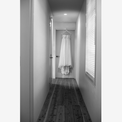 BigMike Photosが撮影した「:albumName」の写真