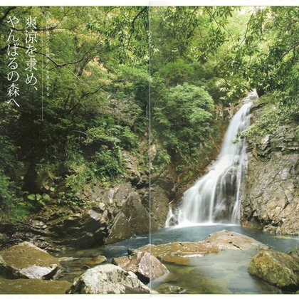 鈴木圭が撮影したその他の写真