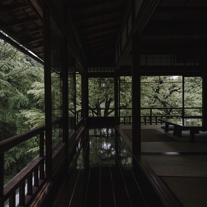 三谷 朋也が撮影した「:albumName」の写真