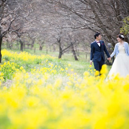 Photo of Spring Japan taken by Takano Kazuki