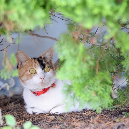 Sara Photo Worksが撮影したその他の写真