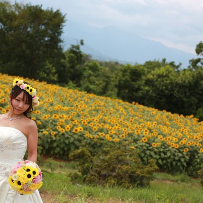 セリエドレッシングが撮影したウェディングや家族、ビジネスの写真